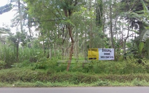 Tanah Dijual Di Ahmad Yani Malang