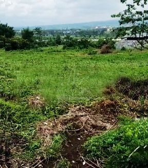 Tanah Luas Dijual di Singosari Malang
