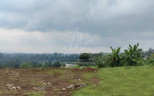 Tanah Strategis Dijual di Taman Dayu Sagamore Hills Prigen Pasuruan